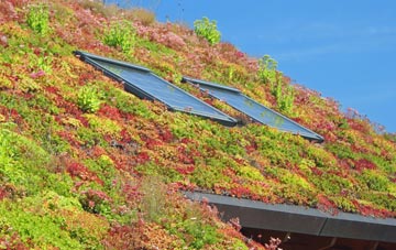 Dalmellington living roof systems